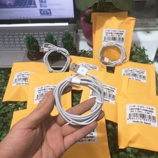 Cáp ip xuất nhật 2m xịn sò