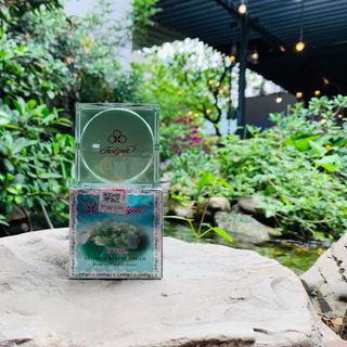 Kem dưỡng chống lão hóa FEIYA Antirich Beauty Cream - 15g