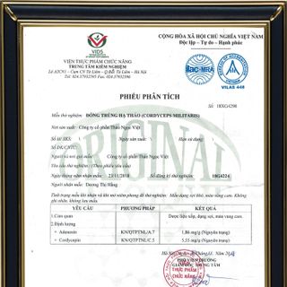 Đông trùng hạ thảo sấy thăng hoa cao cấp