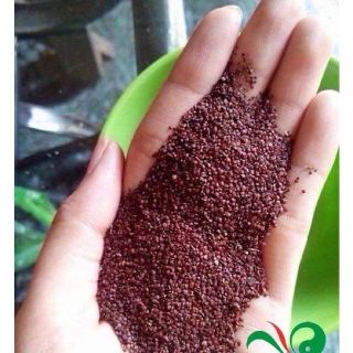 Hạt ngũ hoa cao cấp - hạt sạch nguyên chất