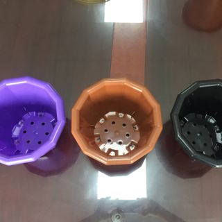 Chậu tròn nhựa trồng cây và hoa - Sản xuất theo tiêu chuẩn Nhật Bản