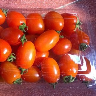 Cà Chua Cherry