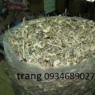 bán bông atiso (bông actiso) số lượng lớn