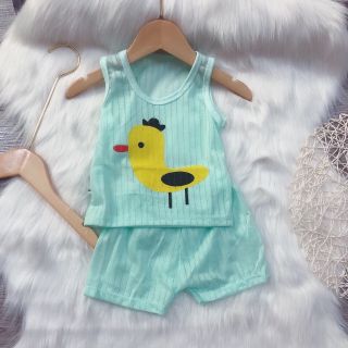 Bộ cotton giấy 3 lỗ