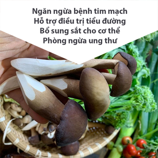 NẤM MỐI ĐEN SỐT CÀ MITO (HỘP 188G)