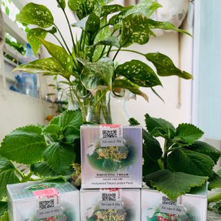 Kem dưỡng trắng da Feiya ban ngày 15g