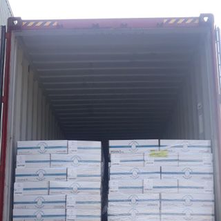 Holinut - Hạnh nhân MỸ hàng xá thùng 22.68kg