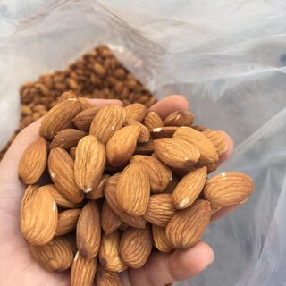 Holinut - Hạnh nhân MỸ hàng xá thùng 22.68kg