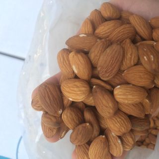 Holinut - Hạnh nhân MỸ hàng xá thùng 22.68kg