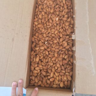 Holinut - Hạnh nhân MỸ hàng xá thùng 22.68kg