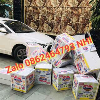 Phân phối Merries cộng miếng Nhật HCM
