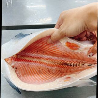 Cá hồi cắt khoanh nhập khẩu từ Chile