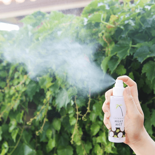 Xịt Khoáng Too Cool For School Coconut Milky Mist 80ml