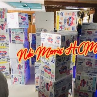 CHUYÊN PHÂN PHỐI SĨ TÃ MERRIES NỘI ĐỊA NHẬT