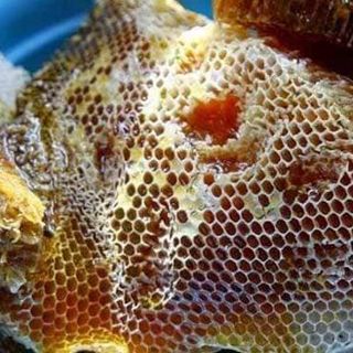 Mật ong rừng Kbang nguyên tổ, nguyên chất sỉ từ 10 lít