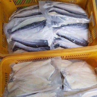 CÁ DỨA 1 NẮNG ( DỨA THẬT 100%)