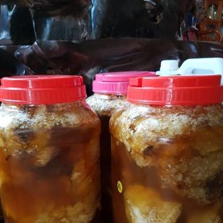 Mật ong rừng Kbang nguyên tổ, nguyên chất sỉ từ 10 lít