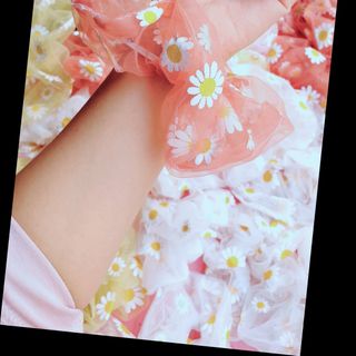 Scrunchies hoa cúc