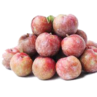 Mận Hậu Mộc Châu - Sơn La