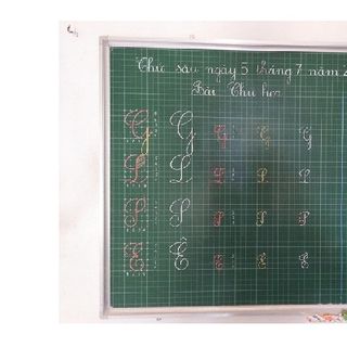 Bảng từ xanh viết phấn kẻ ô li Tiểu học kích thước 100x120cm giá sỉ