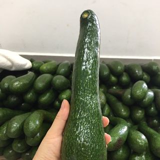 BƠ 034 - ĐẶC SẢN LÂM ĐỒNG