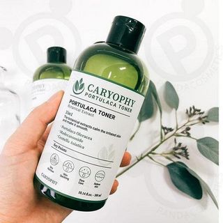 Nước Hoa Hồng toner Trị Mụn Caryophy Portulaca Toner 300ml giá sỉ