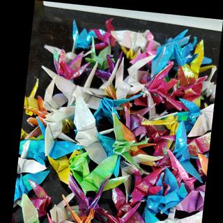 Hạc giấy xếp sẵn hạc giấy xà cừ