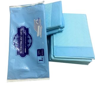 Tã lót người già người lớn size L 10 miếng 60x90cm