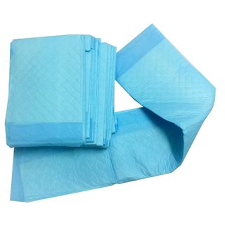 Tã lót người già người lớn size L 10 miếng 60x90cm