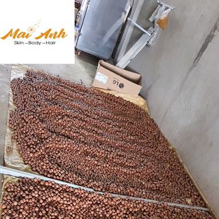 Hạt Macca Nứt Tự Nhiên