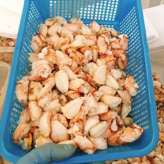 ĐẦU GỐI CUA
