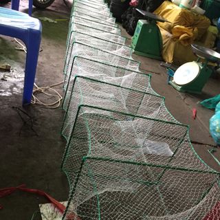 12 cửa ngục Lồng bát quái 5met
