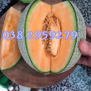 dưa lưới organic sản phẩm của SAMIFARM