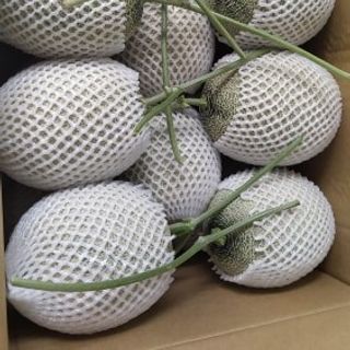 dưa lưới organic