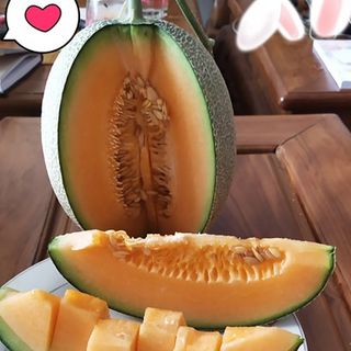 dưa lưới organic