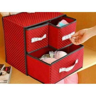 Tủ đồ lót 2 tầng 3 ngăn