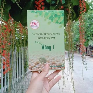Mầm đậu nành DM beauty