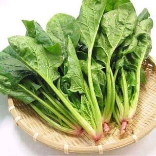 Hạt Giống Rau Cải Bó Xôi 20 Gr