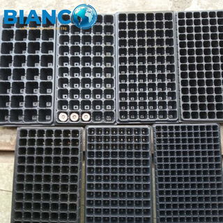 Khay nhựa ươm hạt giống các kích thước