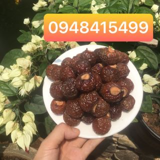 Vỏ Bồ hòn