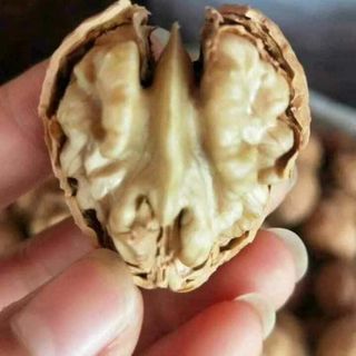Quả óc chó nếp Điện Biên