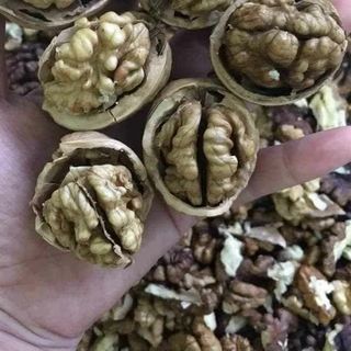 Quả óc chó nếp Điện Biên