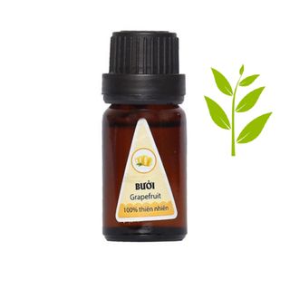 Tinh dầu sả chanh Ấn Độ