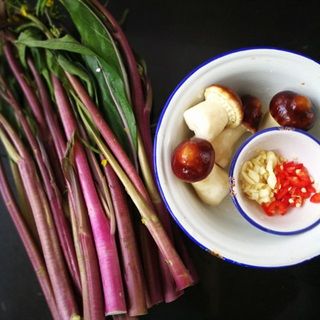 Hạt Giống Rau Cải Ngồng Tím