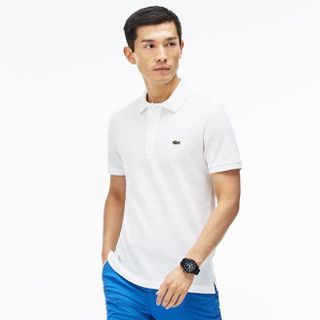áo phông nam cotton ngắn tay