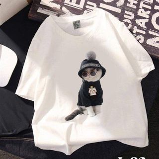 thun cotton co giãn 4 chiều, mềm mịn, mát, không xù lông giá sỉ