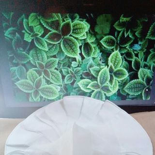 KHẨU TRANG 3D VẢI KHÔNG DỆT (3 MÀU) - MÀU TRẮNG_1set 50 Cái