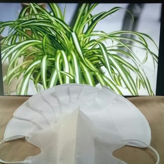 KHẨU TRANG 3D VẢI KHÔNG DỆT (3 MÀU) - MÀU TRẮNG_1set 50 Cái