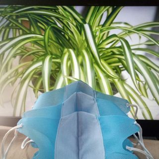 KHẨU TRANG 3D VẢI KHÔNG DỆT (3 MÀU) - MÀU XANH_1set 50 Cái