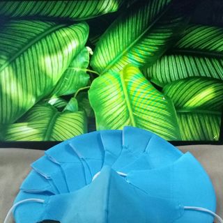 KHẨU TRANG 3D VẢI KHÔNG DỆT (3 MÀU) - MÀU XANH_1set 50 Cái